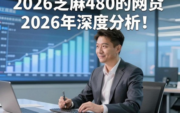 2026芝麻480的网贷2026年深度分析！本篇为您精心讲述！