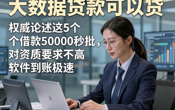 大数据贷款可以贷，权威论述这5个借款50000秒批对资质要求不高软件到账极速