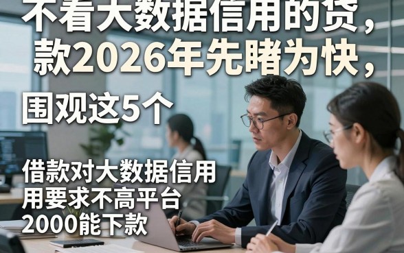 不看大数据信用的贷款2026年先睹为快,围观这5个借款对大数据信用要求不高平台2000能下款
