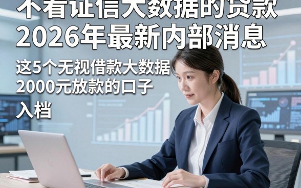不看证信大数据的贷款2026年最新内部消息，入档​这5个无视借款大数据2000元放款的口子