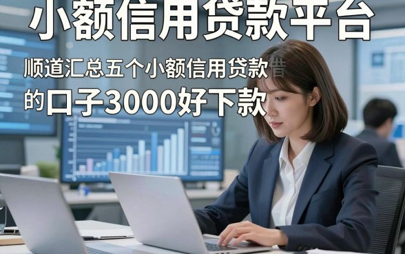 小额信用贷款平台，顺道汇总五个小额信用贷款借款的口子3000好下款