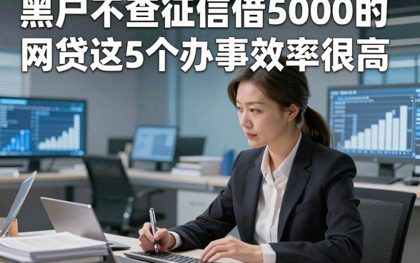 黑户不查征信借5000的网贷这5个办事效率很高，本篇为您深度集合！