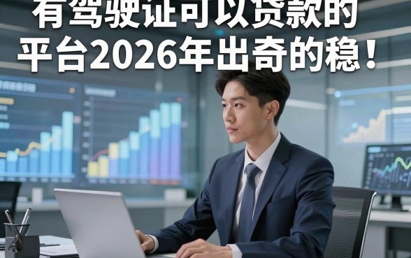 有驾驶证可以贷款的平台2026年出奇的稳！本文为您全面分享！
