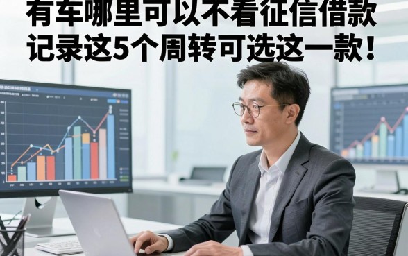 有车哪里可以不看征信借款记录这5个周转可选这一款！本文为您深度归纳！