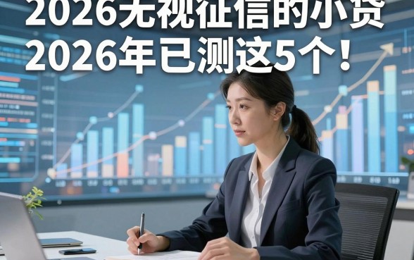2026无视征信的小贷2026年已测这5个！本文为您深入讲述！