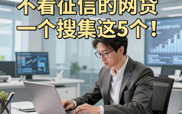 不看征信的网贷一个搜集这5个！本文为您细致分享！