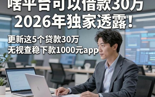 啥平台可以借款30万2026年独家透露！更新这5个贷款30万无视查稳下款1000元app