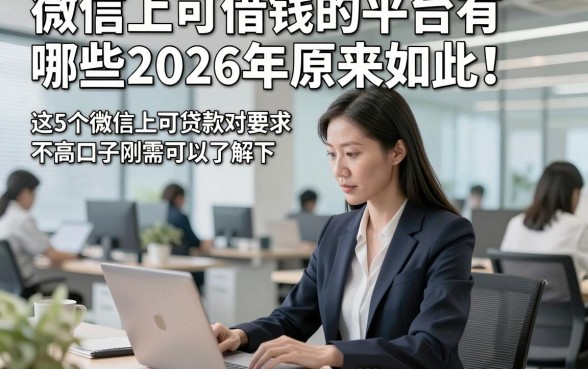 微信上可借钱的平台有哪些2026年原来如此！这5个微信上可贷款对要求不高口子刚需可以了解下