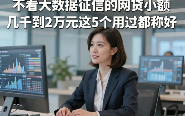 不看大数据征信的网贷小额,几千到2万元这5个用过都称好，本文为您隆重严筛！