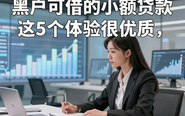 黑户可借的小额贷款这5个体验很优质，本文为您深度精选！
