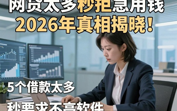 网贷太多秒拒急用钱2026年真相揭晓！本文评析5个借款太多秒放款对要求不高软件