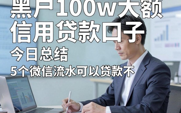 黑户100w大额信用贷款口子，今日总结5个微信流水可以贷款不