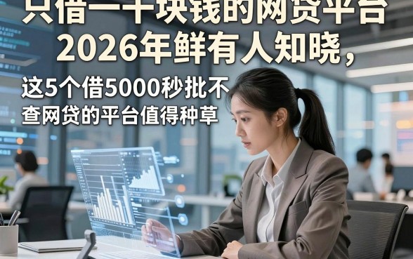 只借一千块钱的网贷平台2026年鲜有人知晓，这5个借5000秒批不查网贷的平台值得种草