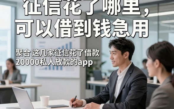 征信花了哪里可以借到钱急用，聚合​这几家征信花了借款20000私人放款的app