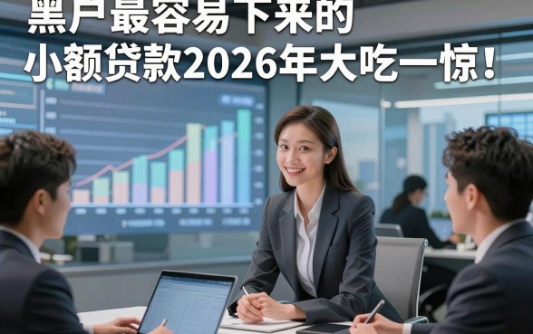 黑户最容易下来的小额贷款2026年大吃一惊！本文为您精心更新！