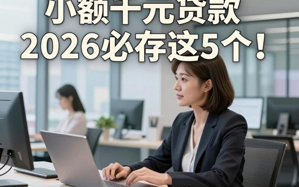 小额千元贷款2026必存这5个！本篇为您深度精挑！