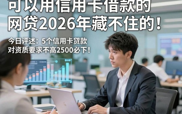 可以用信用卡借款的网贷2026年藏不住的！今日评述5个信用卡贷款对资质要求不高口子2500必下