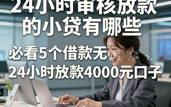24小时审核放款的小贷有哪些，必看5个借款无视审核24小时放款4000元口子