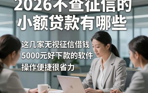2026不查征信的小额贷款有哪些，这几家无视征信借钱5000元好下款的软件操作便捷很省力