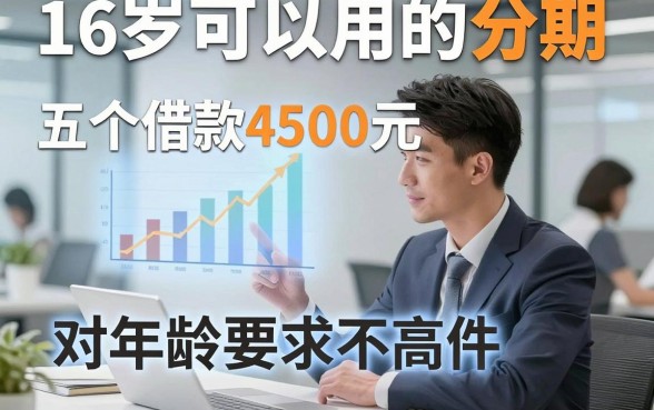16岁可以用的分期，解读五个借款4500元对年龄要求不高软件