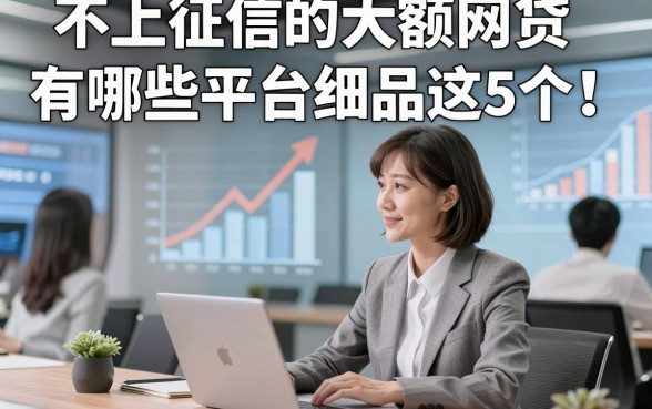 不上征信的大额网贷有哪些平台细品这5个！本文为您深度探寻！