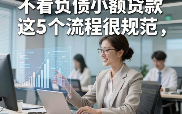 不看负债小额贷款这5个流程很规范，本篇为您深度阐释！