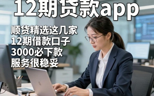 12期贷款app，顺便精选这几家12期借款口子3000必下款服务很稳妥