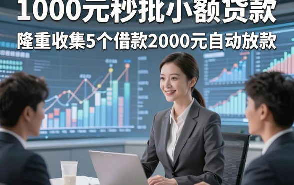 1000元秒批小额贷款，隆重收集5个借款2000元自动放款的对口子