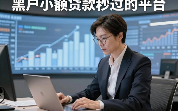 黑户小额贷款秒过的平台，本文为您深入挖掘！
