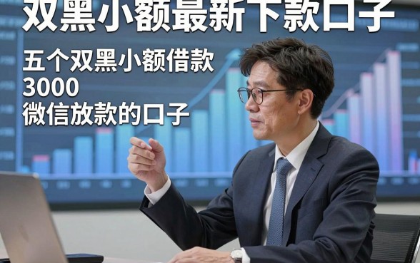 双黑小额最新下款口子，分析五个双黑小额借款3000微信放款的口子