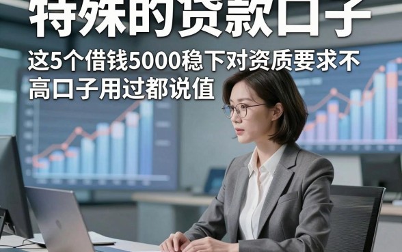 特殊的贷款口子，这5个借钱5000稳下对资质要求不高口子用过都说值