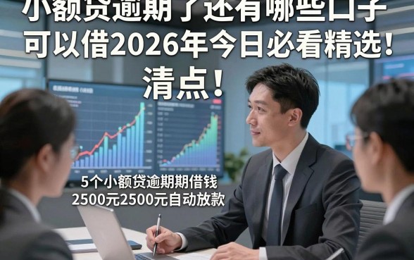 小额贷逾期了还有哪些口子可以借2026年今日必看精选‌！清点​5个小额贷逾期借钱2500元自动放款的口子