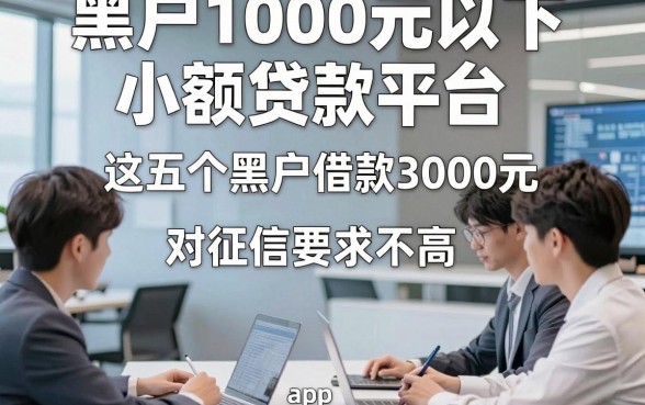 黑户1000元以下小额贷款平台，这五个黑户借款3000元对征信要求不高app服务很到位