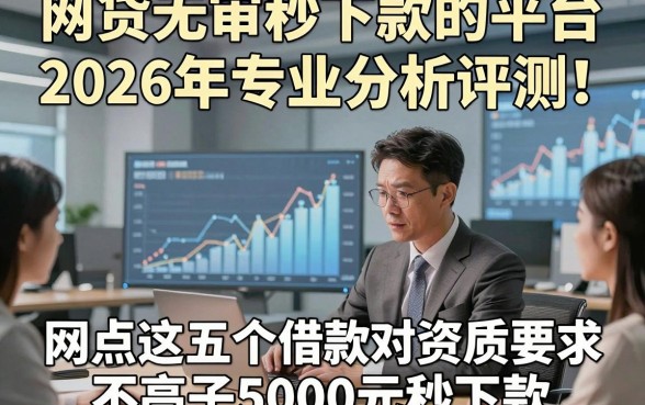网贷无审秒下款的平台2026年专业分析评测!同时盘点这五个借款对资质要求不高口子5000元秒下款