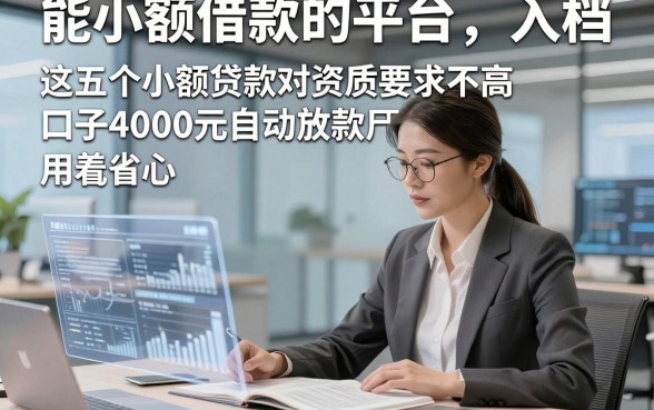 能小额借款的平台，入档​这五个小额贷款对资质要求不高口子4000元自动放款用着就省心