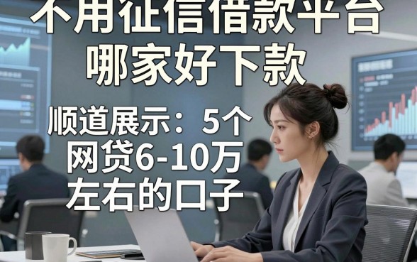 不用征信借款平台哪家好下款，顺道展示5个网贷6-10万左右的口子