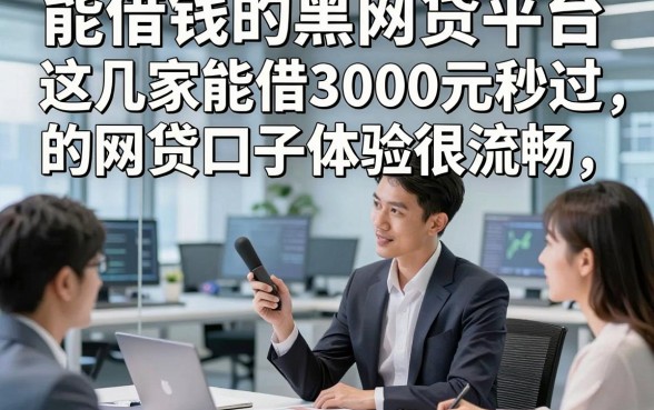 能借钱的黑网贷平台，这几家能借3000元秒过的网贷口子体验很流畅