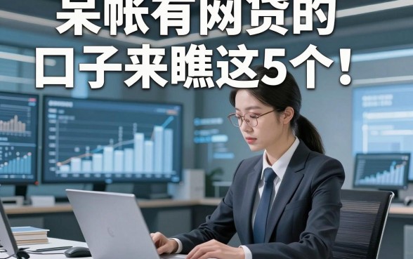 呆帐有网贷的口子来瞧这5个！本文为您隆重揭秘！