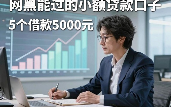 网黑能过的小额贷款口子，本文详解5个借款5000元容易下款的口子