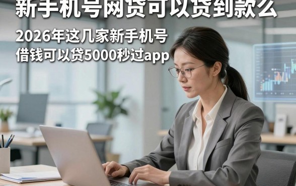 新手机号网贷可以贷到款么，2026年这几家新手机号借钱可以贷5000秒过app适配各类需求