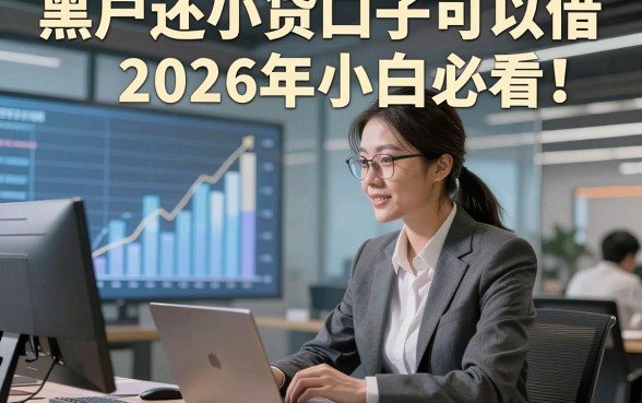 黑户还小贷口子可以借2026年小白必看！本篇为您全面评析！
