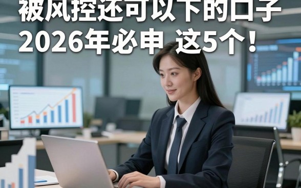 被风控还可以下的口子2026年必申​这5个！本文为您深入汇集！