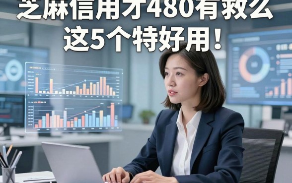 芝麻信用才480有救么这5个特好用！本篇为您精心阐述！