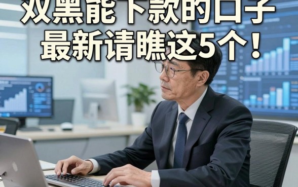 双黑能下款的口子最新请瞧这5个！本文为您详细搜集！