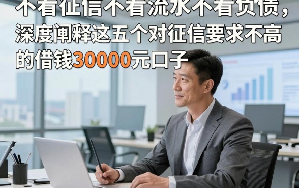不看征信不看流水不看负债，深度阐释这五个对征信要求不高的借钱30000元口子
