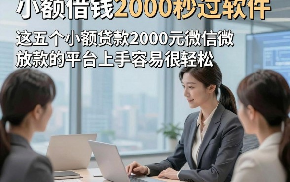 小额借钱2000秒过软件，这五个小额贷款2000元微信放款的平台上手容易很轻松