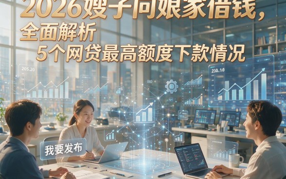 2026嫂子向娘家借钱，全面解析5个网贷最高额度下款情况