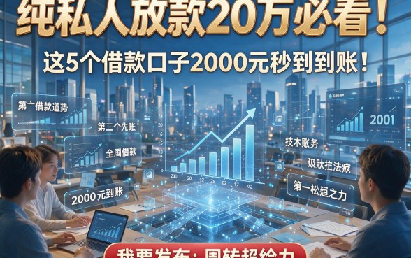 纯私人放款20万必看！这5个借款口子2000元秒到账，周转超给力