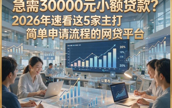 急需30000元小额贷款？2026年速看这5家主打简单申请流程的网贷平台